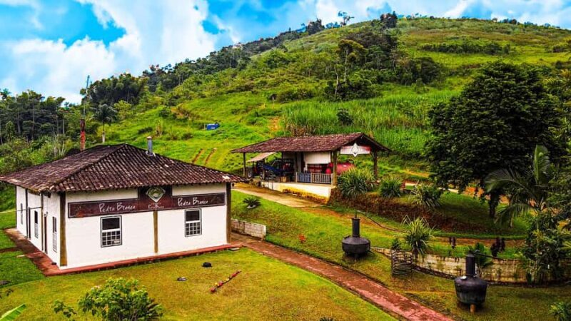Waterfall Jungle and Cachaça distillery Jeep Tour - A Detailed Look at the Tour