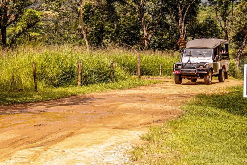 Waterfall Jungle and Cachaça distillery Jeep Tour - Who Will Enjoy This Tour?