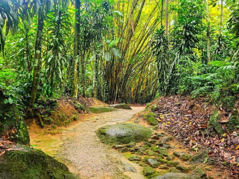 Waterfall Jungle and Cachaça distillery Jeep Tour - Final Thoughts