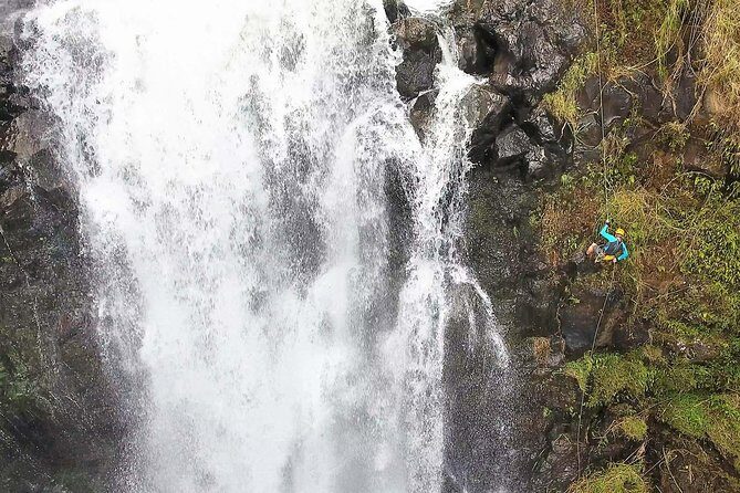 Waterfall Rappelling at Kulaniapia Falls: 120 Foot Drop, 15 Minutes from Hilo - Waterfall Rappelling at Kulaniapia Falls: 120 Foot Drop, 15 Minutes from Hilo
