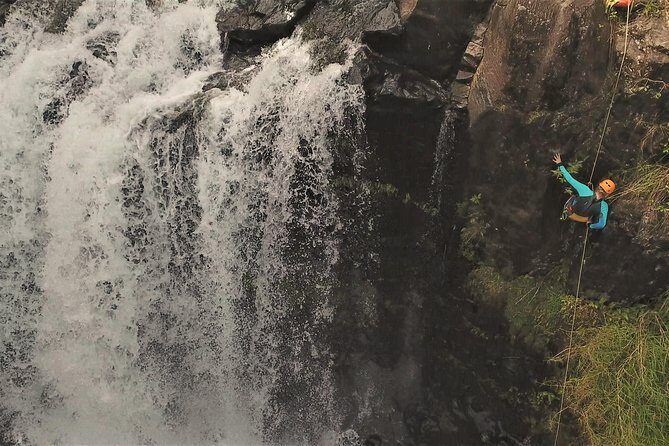 Waterfall Rappelling at Kulaniapia Falls: 120 Foot Drop, 15 Minutes from Hilo - Key Points