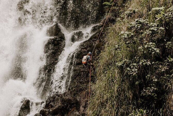 Waterfall Rappelling at Kulaniapia Falls: 120 Foot Drop, 15 Minutes from Hilo - Analyzing Value and Experience