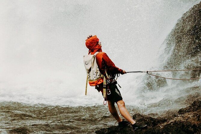 Waterfall Rappelling at Kulaniapia Falls: 120 Foot Drop, 15 Minutes from Hilo - Who Should Consider This Tour?