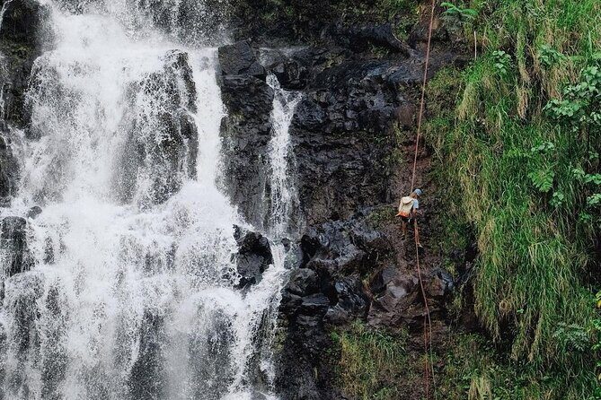 Waterfall Rappelling at Kulaniapia Falls: 120 Foot Drop, 15 Minutes from Hilo - Final Thoughts