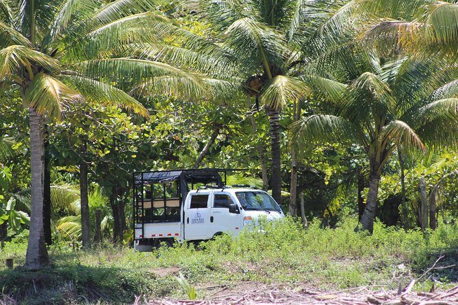 Waterfall Tour - Final Thoughts: Who Is This Tour Best For?