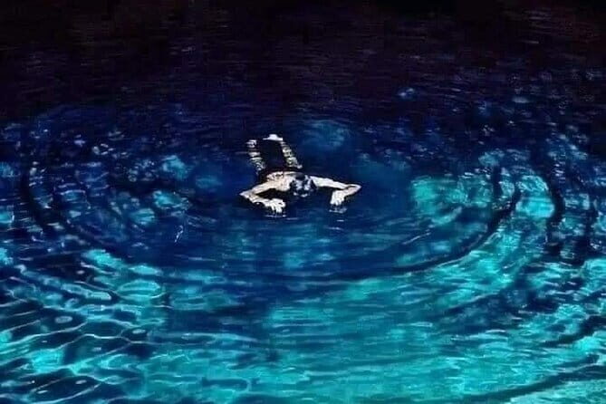 Waterfall Tour & nine arch bridge Ella - Exploring Ella’s Waterfalls and Iconic Spots in Detail