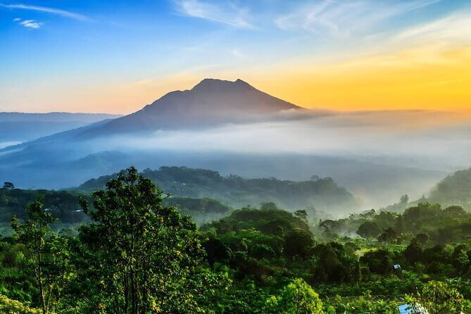 Waterfall Tour: North Bali Best Waterfalls - Who Is This Tour Best For?