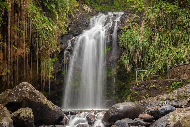 Waterfalls Adventure Hikes in St. George's, Grenada - Key Points