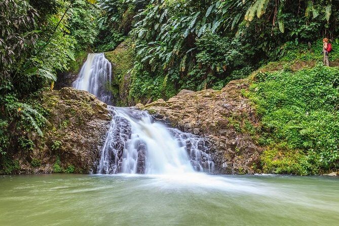 Waterfalls Adventure Hikes in St. George's, Grenada - An In-Depth Look at the Waterfalls Adventure Hikes