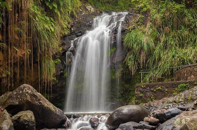 Waterfalls Adventure Hikes in St. George's, Grenada - The Value for Money