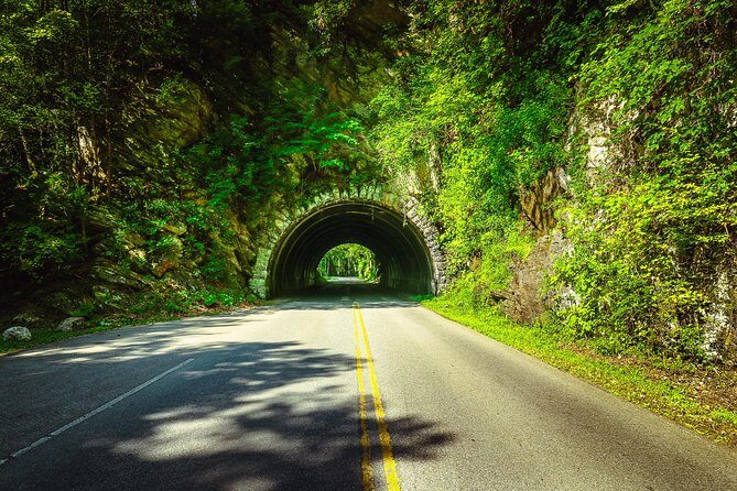 Waterfalls and Blue Ridge Parkway Hiking Tour with Expert Naturalist - Who Should Consider This Tour?