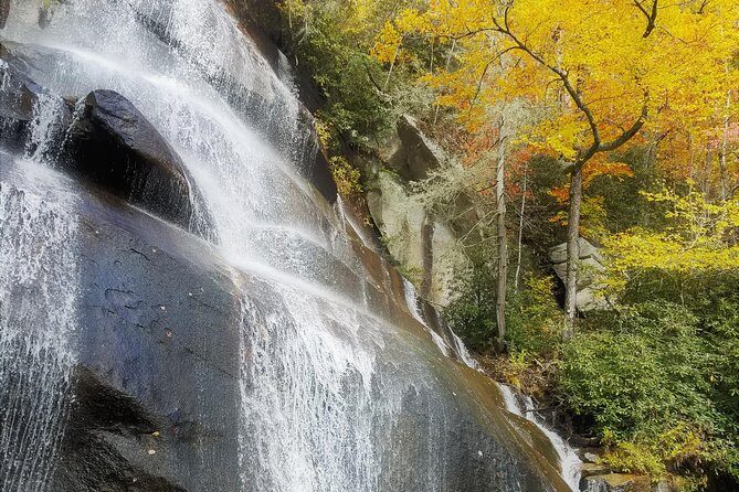 Waterfalls and Blue Ridge Parkway Hiking Tour with Expert Naturalist - The Sum Up: Is This Tour Worth It?