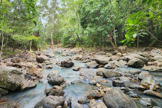 Waterfalls and Bushwalk Eco Adventure - FAQ