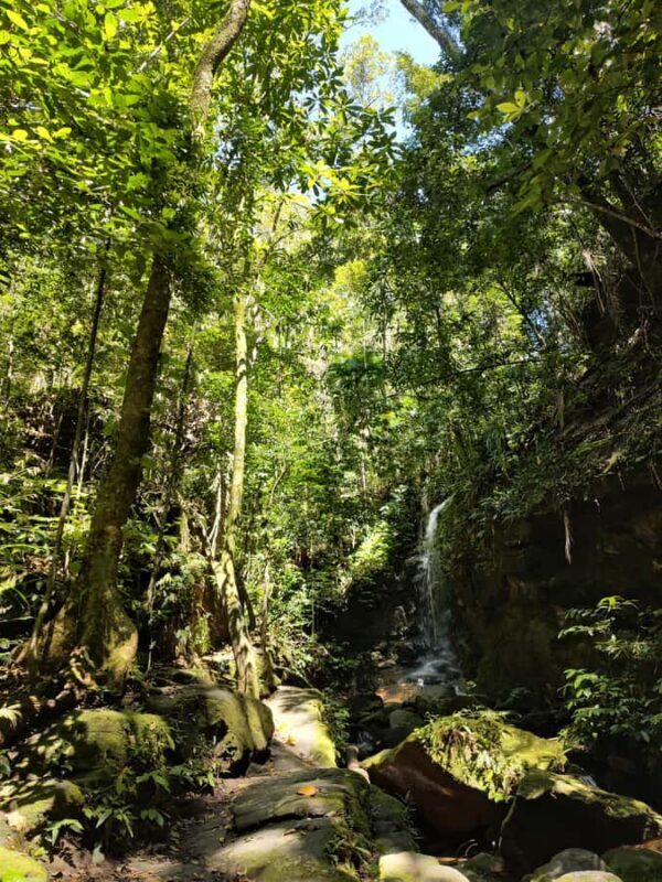 Waterfalls and Caves Trail in the Tijuca Forest - Who will love this experience?