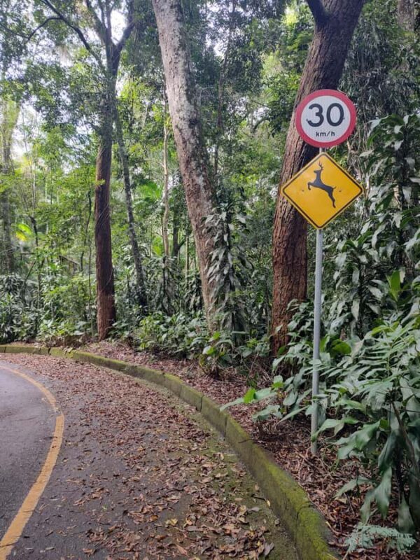 Waterfalls and Caves Trail in the Tijuca Forest - The Sum Up