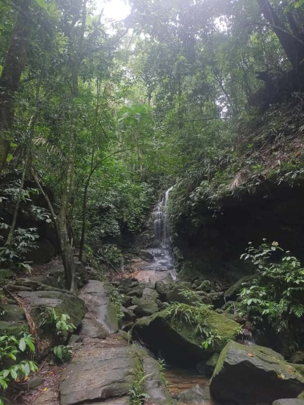 Waterfalls and Caves Trail in the Tijuca Forest - FAQ