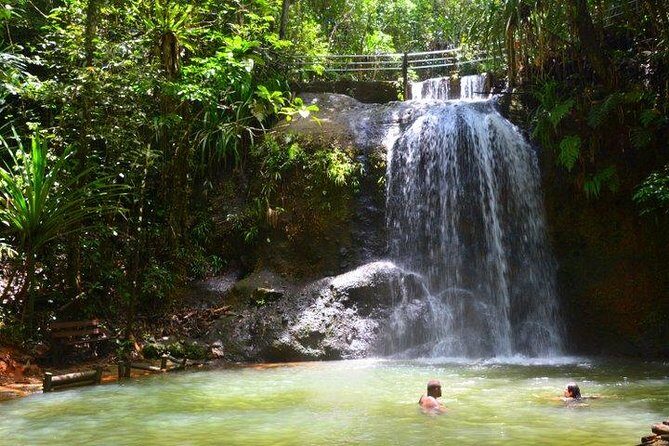 Waterfalls and Nature Tour - Discover the Waterfalls and Nature Tour in Viti Levu, Fiji