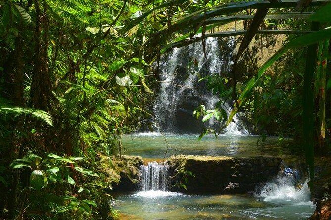 Waterfalls and Nature Tour - Key Points