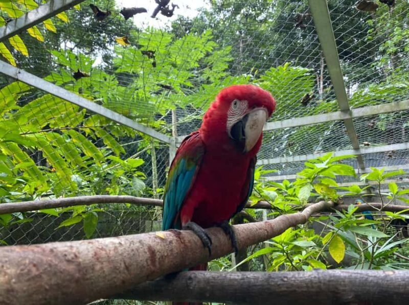 Waterfalls, Animal Reserve and Chocolate: Mango Passage - More About the Experience: Deep Dive