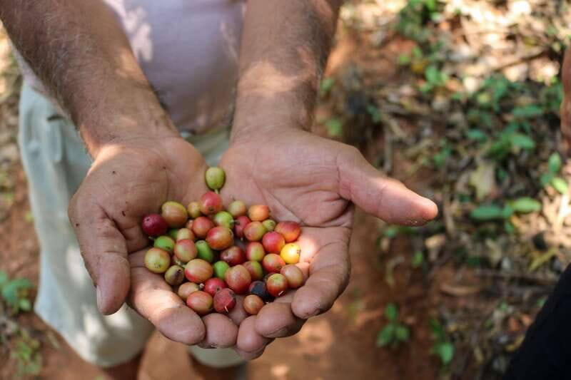 Waterfalls, Coffee and Adventure Tour, Huatulco - Key Points