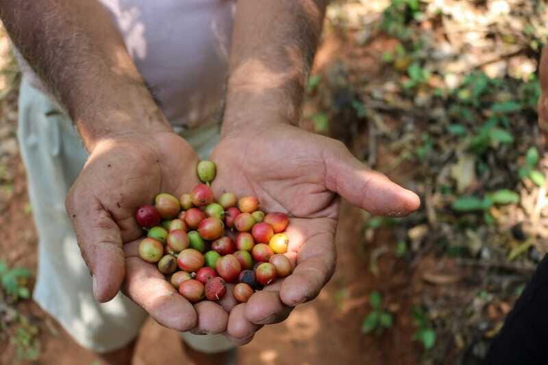 Waterfalls, Coffee and Adventure Tour, Huatulco - FAQs