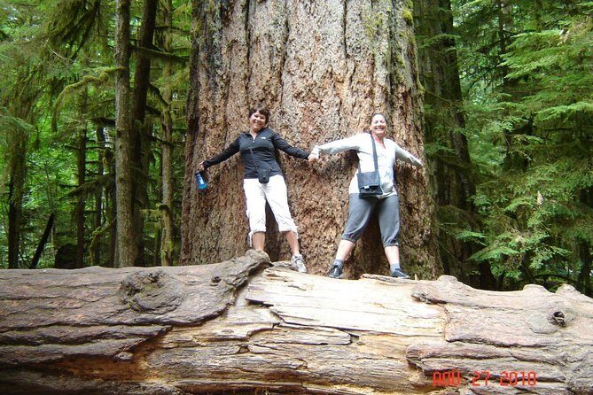 Waterfalls, Coombs and Cathedral Grove Rainforest Tour - Key Points