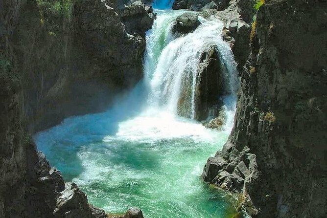 Waterfalls, Coombs and Cathedral Grove Rainforest Tour - Analyzing the Value