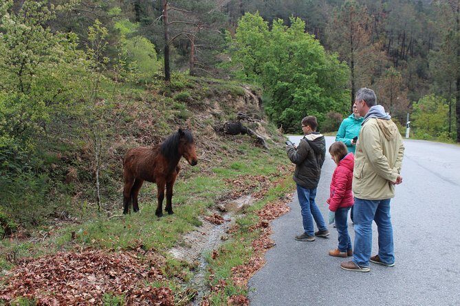 Waterfalls, Heritage and Nature in Gerês Park - from Porto - FAQ
