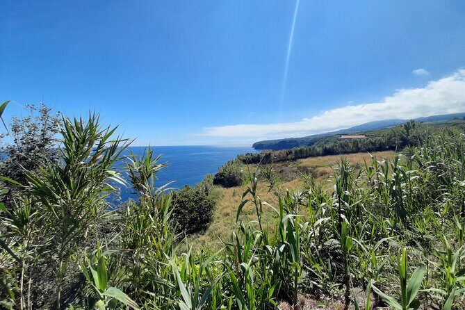 Waterfalls Hike, Moinho do Felix with tea plantation - Frequently Asked Questions