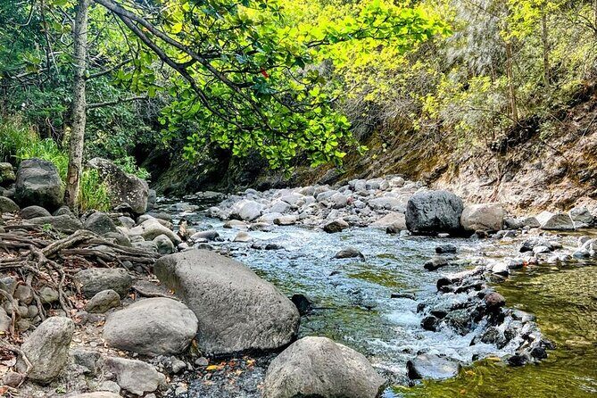 Waterfalls, Hike & Rivers Tour from Kahului - Waterfalls, Hike & Rivers Tour from Kahului: An Authentic Maui Adventure