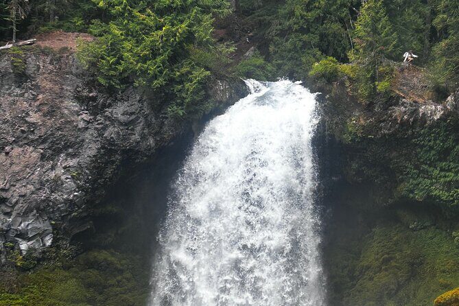 Waterfalls & the McKenzie River in a Tesla - The Value of This Experience