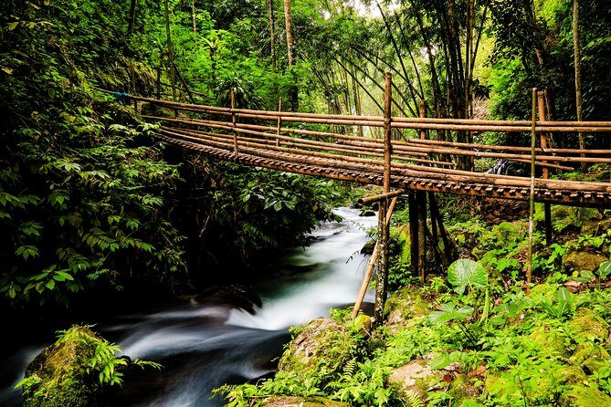 Waterfalls Tour - A Deep Dive into the Waterfalls Tour Experience