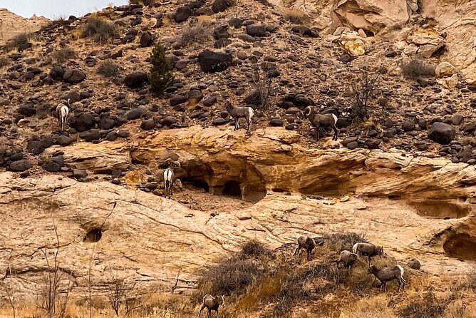 Waterpocket Fold Offroad Tour to Strike Valley Overlook - Final Thoughts