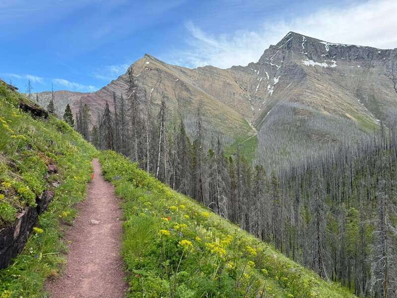 Waterton Lakes National Park: Upper Rowe Lakes Hike - The Itinerary and What You Can Expect