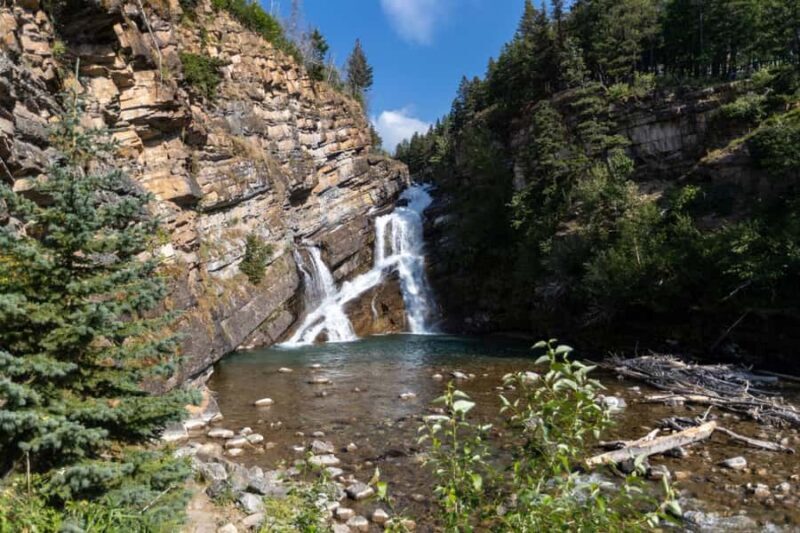 Waterton National Park and Bison Safari Tour with Picnic - FAQ