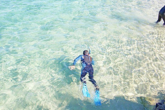 Wave Break Island Snorkel Tour on the Gold Coast - The Sum Up: Is It Worth It?