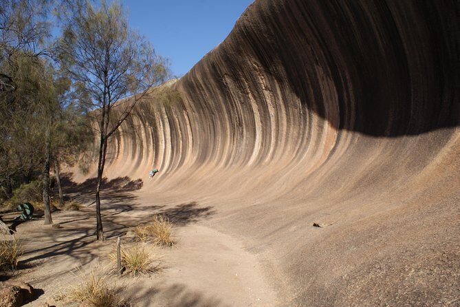 Wave Rock and Pinnacles Air & Ground Tour - Exploring Western Australias Natural Marvels from the Sky and Ground