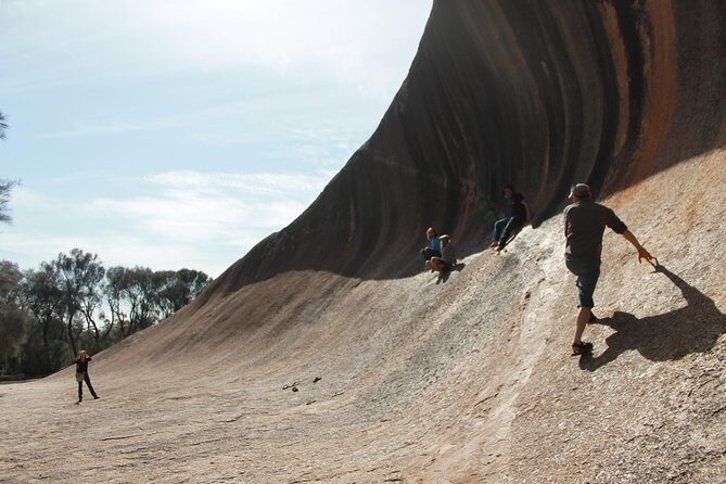 Wave Rock and Pinnacles Air & Ground Tour - Who Would Love This Tour?