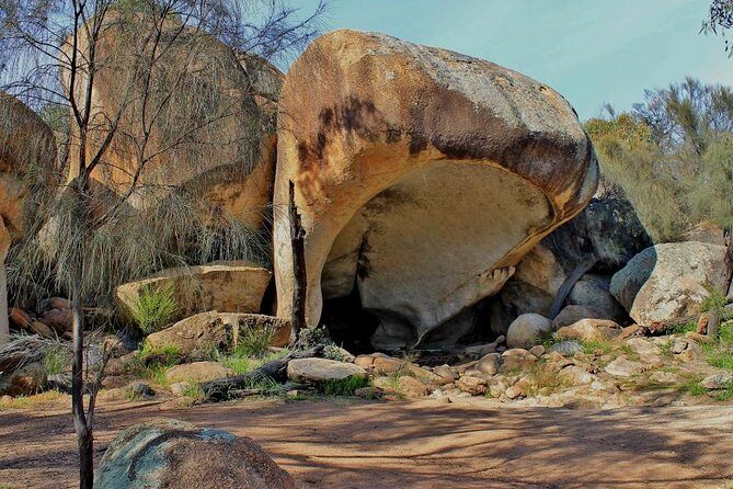 Wave Rock Half Day Air & Ground Tour - Key Points