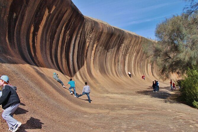 Wave Rock & Rottnest Island - Air & Ground Tour - Who Is This Tour Best For?