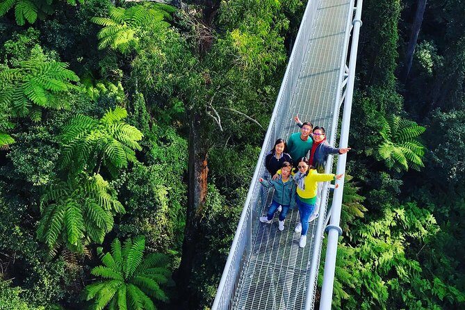 Waves Waterfalls and Wineries Full-Day Southern Highlands Private Tour - Final Thoughts