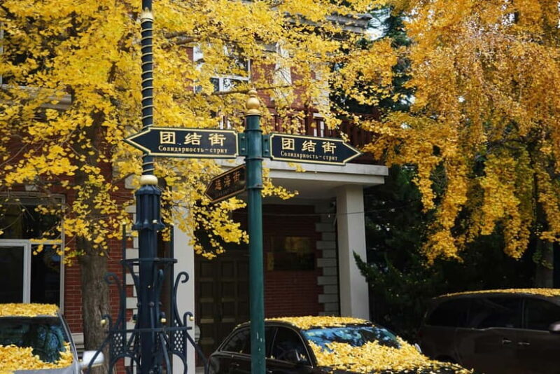 Waves & Wharfs: Dalian's Chill Soul 1-Day Tour - Who Will Enjoy This Tour?