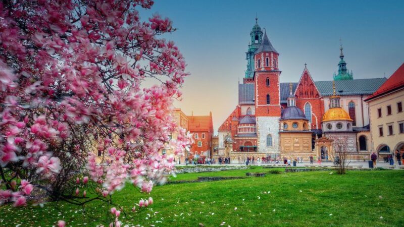 Wawel Hill Tour with Audio Guide - Key Points