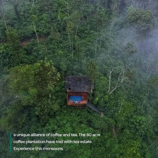 Wayanad: 2-Day Tour with Sightseeing and Accommodation - Key Points