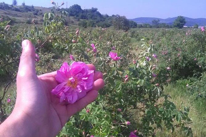 Weekend in Bulgaria - A Detailed Look at the Experience