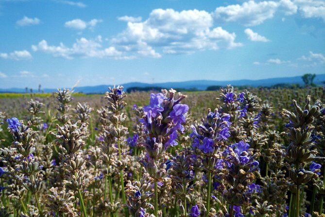 Weekend in Bulgaria - Who Will Enjoy This Tour?