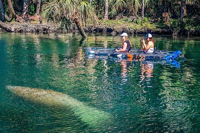 Weeki Wachee Clear Kayak Ecotours Manatee Season - November 14th-March 31st - Key Points