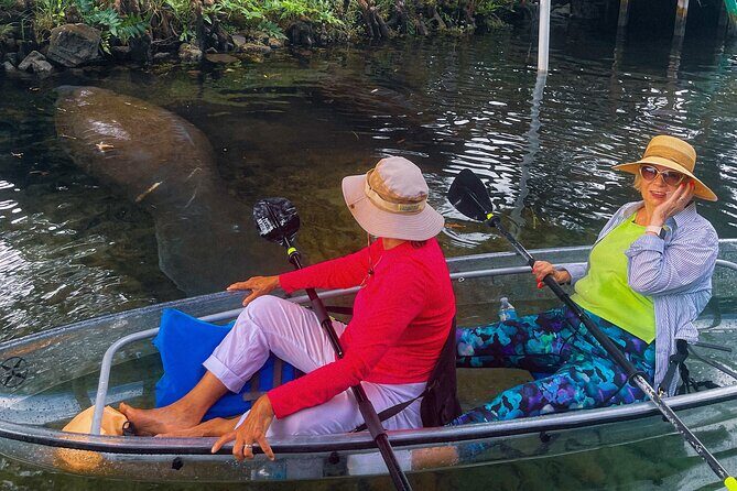 Weeki Wachee Clear Kayak Ecotours Manatee Season - November 14th-March 31st - What the Experience Feels Like