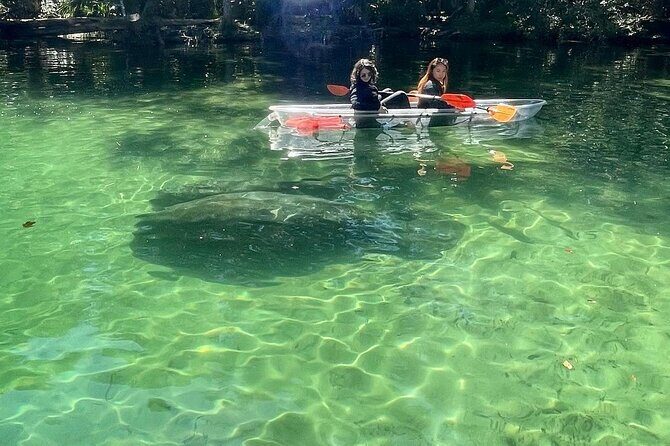 Weeki Wachee Clear Kayak Ecotours Manatee Season - November 14th-March 31st - Pros and Cons