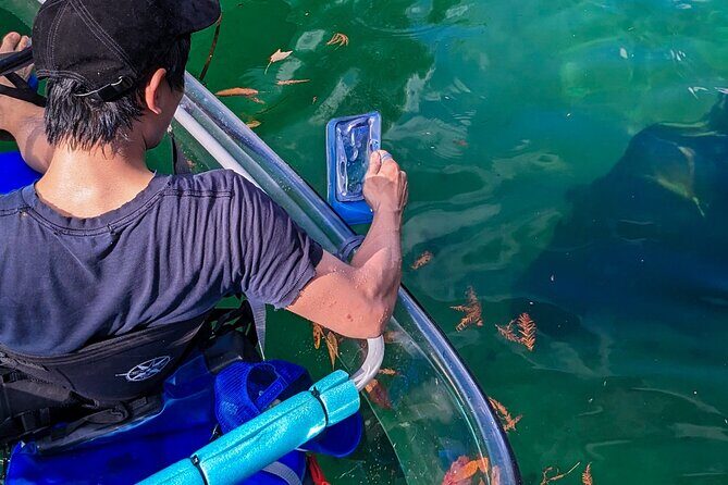 Weeki Wachee Clear Kayak Ecotours Manatee Season - November 14th-March 31st - Who Would Love This Tour?